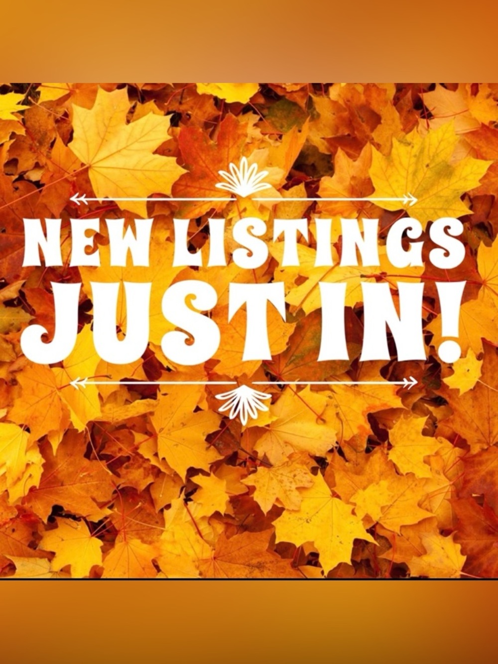 NEW LISTINGS!! - Picture 3 of 4